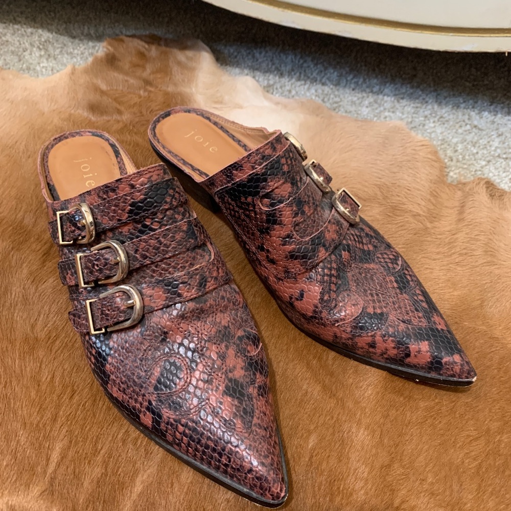 Joie witchy cowgirl mules